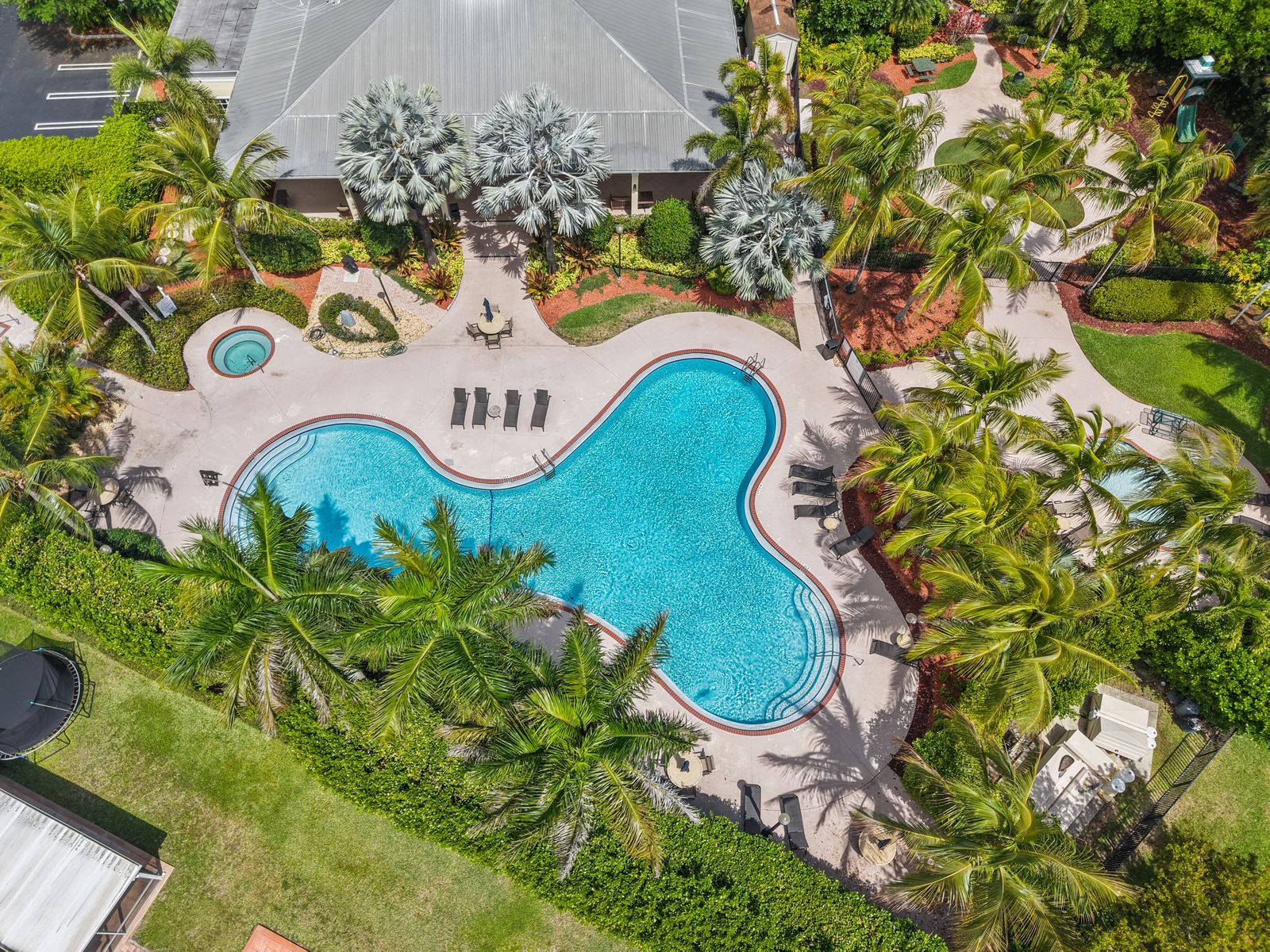 Free-form pool from above
